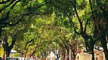 Divulgação / Redes sociais