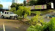 Reprodução / TV Bahia