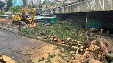 Reprodução / TV Bahia
