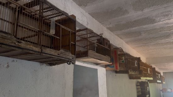 Divulgação/Neam