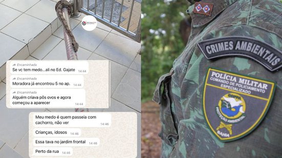 Reprodução | Info Graça e Cia e Divulgação | Coppa-PMBA