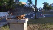 Reprodução / TV Bahia