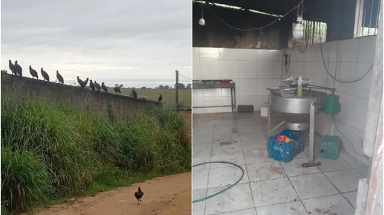 Divulgação/MP-BA