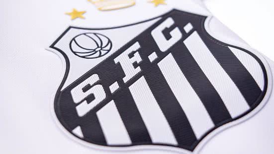 Raul Baretta/ Santos FC