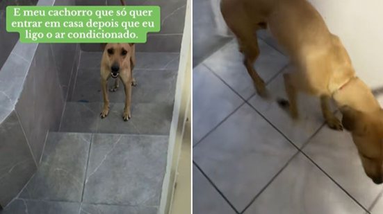 Reprodução / TIK TOK