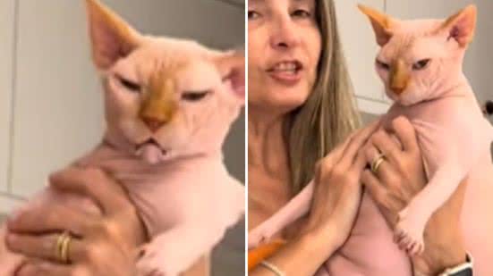 Reprodução / Redes sociais