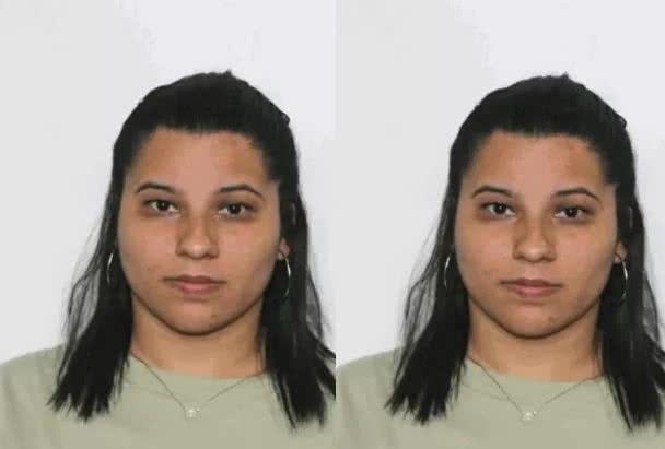 Reprodução/Polícia Civil