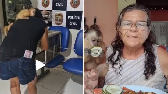 Reprodução