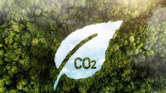 Reprodução/Freepik