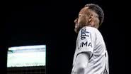 Raul Baretta/Santos FC
