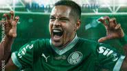 Divulgação/Palmeiras