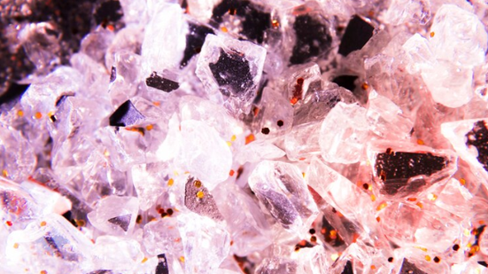 Divulgação / Freepik