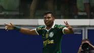 Cesar Greco/Palmeiras