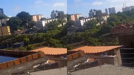 Reprodução