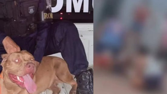 Reprodução Redes Sociais