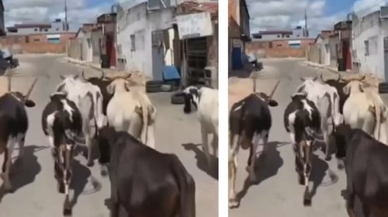 Reprodução Redes Sociais