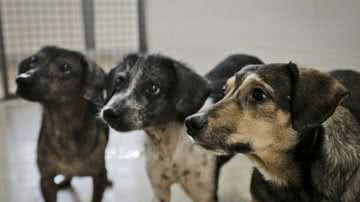 Breno Easaki / Agência DF