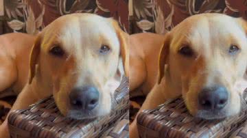 Reprodução / Instagram