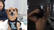 Imagem Vídeo de menino mandando mensagem para cachorrinho que faleceu emociona internautas; assista