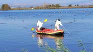 Israel Nature and Parks Authority