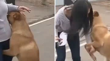 Reprodução/Redes Sociais