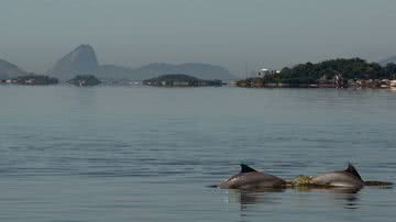 Gabriel Monteiro / Folhapress