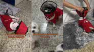 Reprodução/TikTok