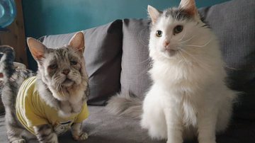 Reprodução/Redes sociais