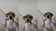 Reprodução/TikTok