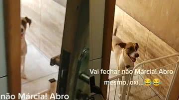 Reprodução/TikTok
