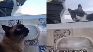 Reprodução/Instagram