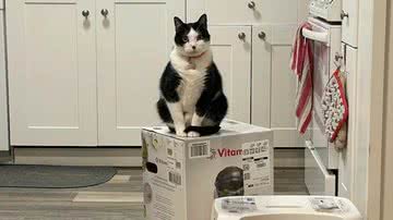 Reprodução/Redes Sociais