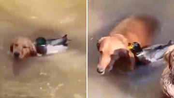 Reprodução/Redes Sociais