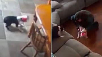 Reprodução/Redes Sociais