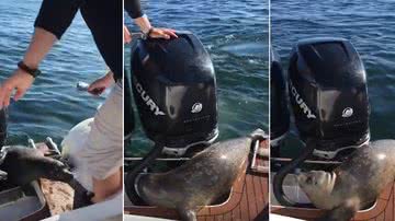 Reprodução/Youtube