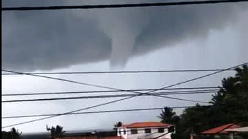 Reproducao Leitor Bnews