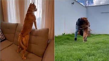 Reprodução/Redes Sociais