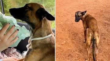 Reprodução/Redes Sociais