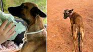 Reprodução/Redes Sociais