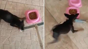 Reprodução/Redes Sociais