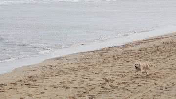 Reprodução | Redes Sociais