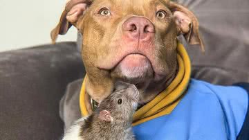 Reprodução/Redes Sociais