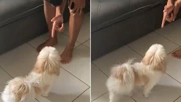 Reprodução/Redes Sociais