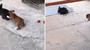 Reprodução/Redes Sociais