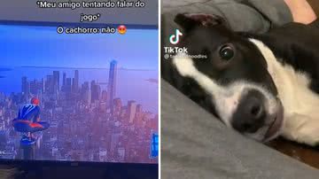 Reprodução/Redes Sociais