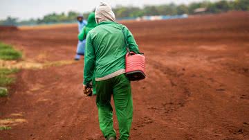 Wenderson Araujo/Trilux