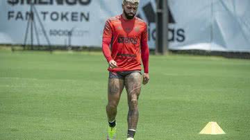 Alexandre Vidal / Flamengo