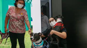 Divulgação/Governo do Estado de São Paulo