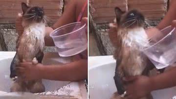 Reprodução/Redes Sociais