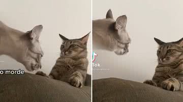 Reprodução/Redes Sociais